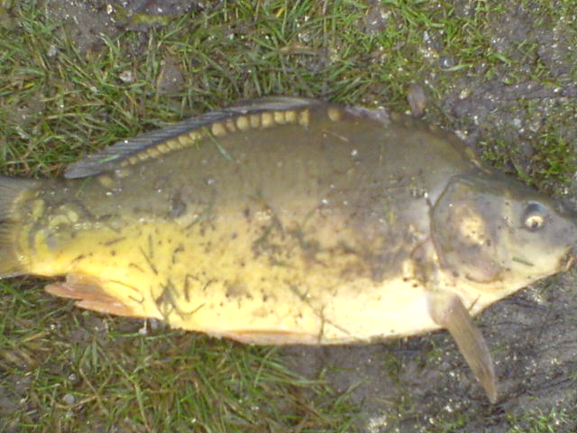 DSC00654.JPG