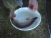 DSC00582.JPG