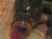 DSC00663.JPG